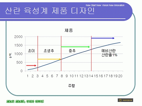 산란 육성계 제품 디자인