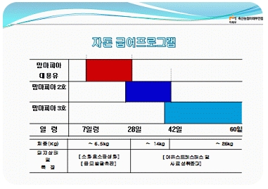 자돈제품 특징