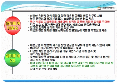 자돈제품 특징