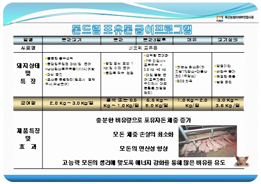 육성/비육돈제품 특징