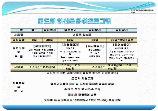 번식돈 특징