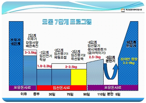 번식돈 특징